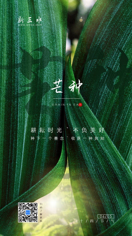 源文件下载【芒种海报】编号：40370000617111291