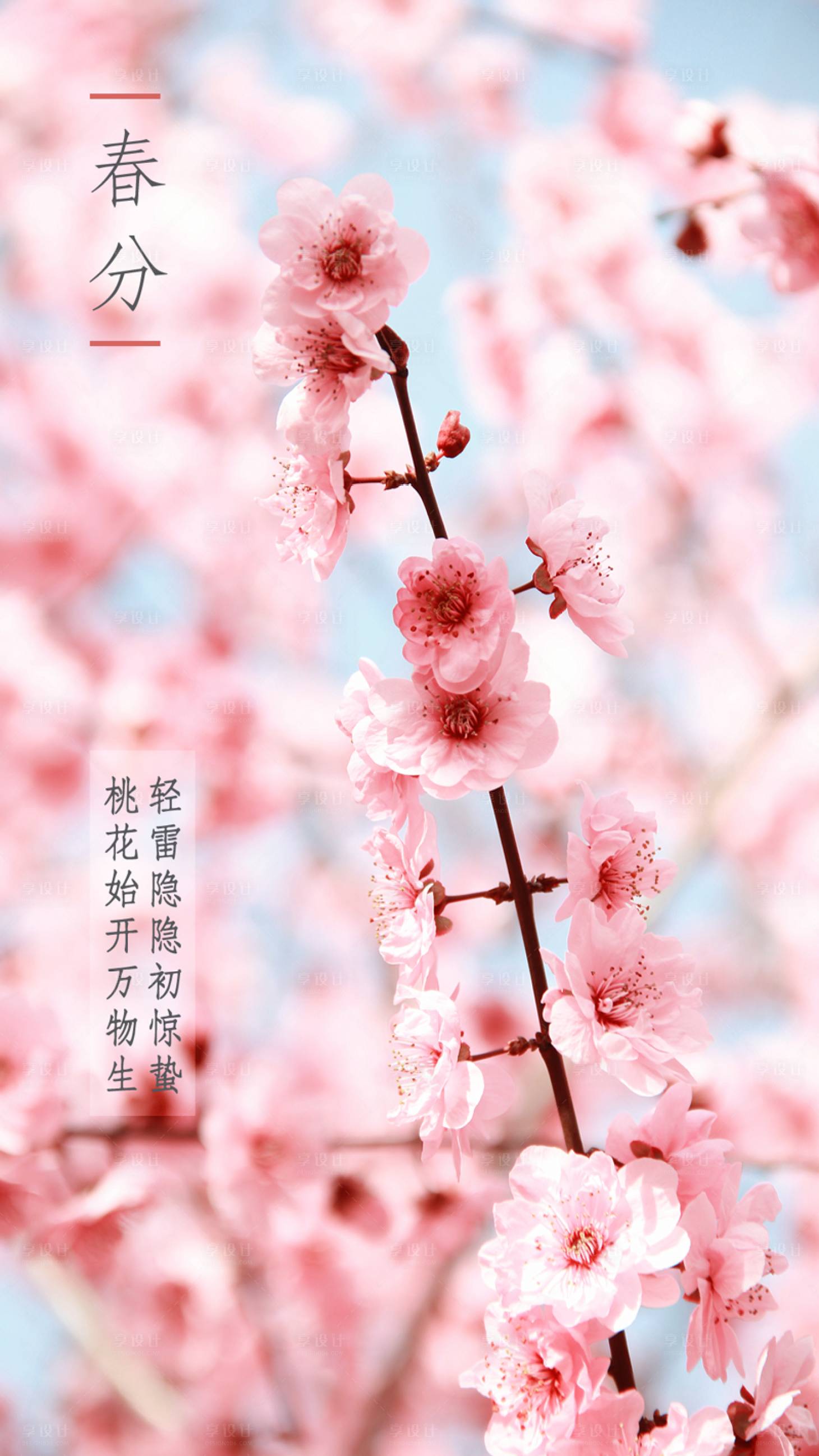 源文件下载【春分二十四节气海报】编号：37380000552133492