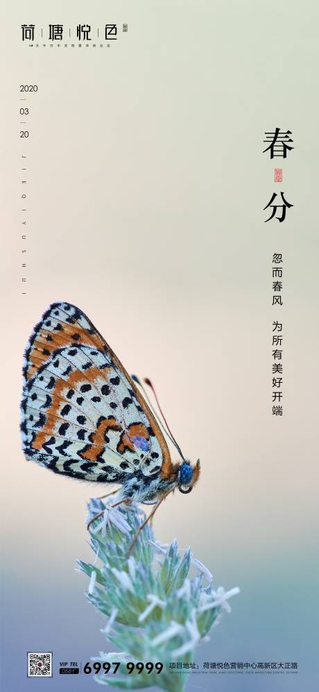 源文件下载【春分节气海报】编号：79480000545062541