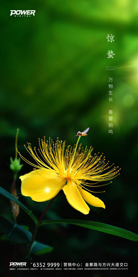 源文件下載【享設(shè)計(jì)】搜索編號(hào)：56300000482161158【驚蟄節(jié)氣移動(dòng)端海報(bào)】
