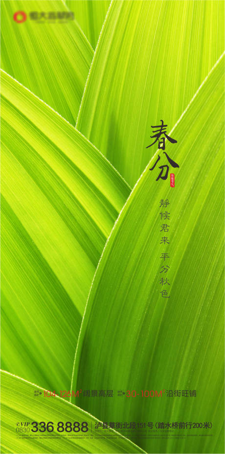 源文件下載【享設(shè)計(jì)】搜索編號：45610000609873714【春分節(jié)氣移動(dòng)端海報(bào)】