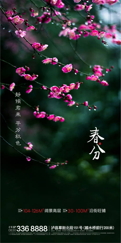 源文件下載【享設計】搜索編號：43040000609775557【二十四節氣春分海報】