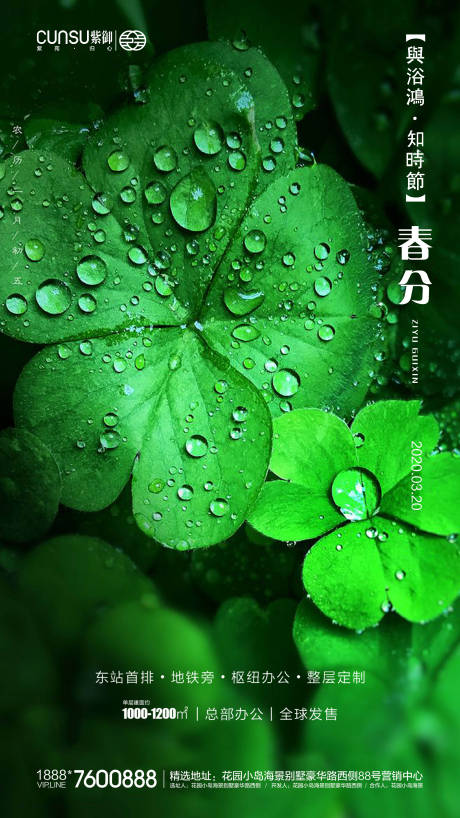 地产春分海报