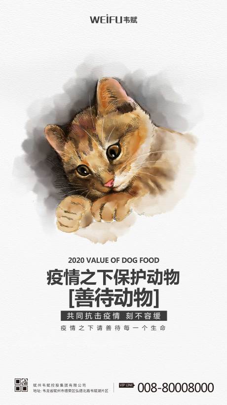 疫情保护动物宣传海报