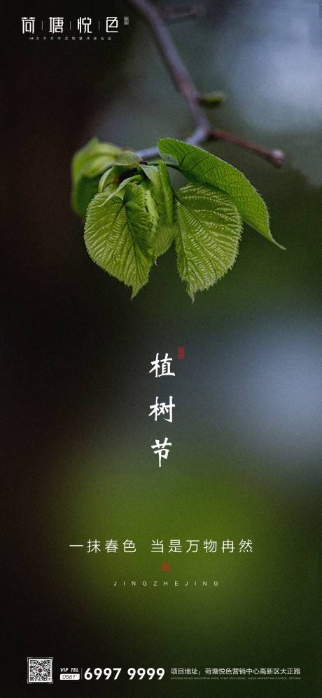 源文件下載【植樹節節日微信海報】編號：84540000507471304