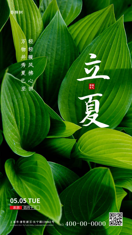 源文件下載【享設計】搜索編號：60890000799959099【綠色立夏節氣移動端海報】