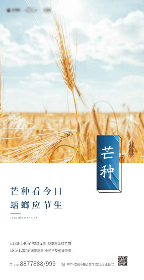 源文件下载【芒种海报】编号：13700000645409517