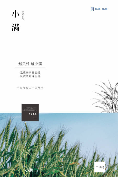 源文件下載【小滿節氣白色簡約海報】編號：89180000795166053