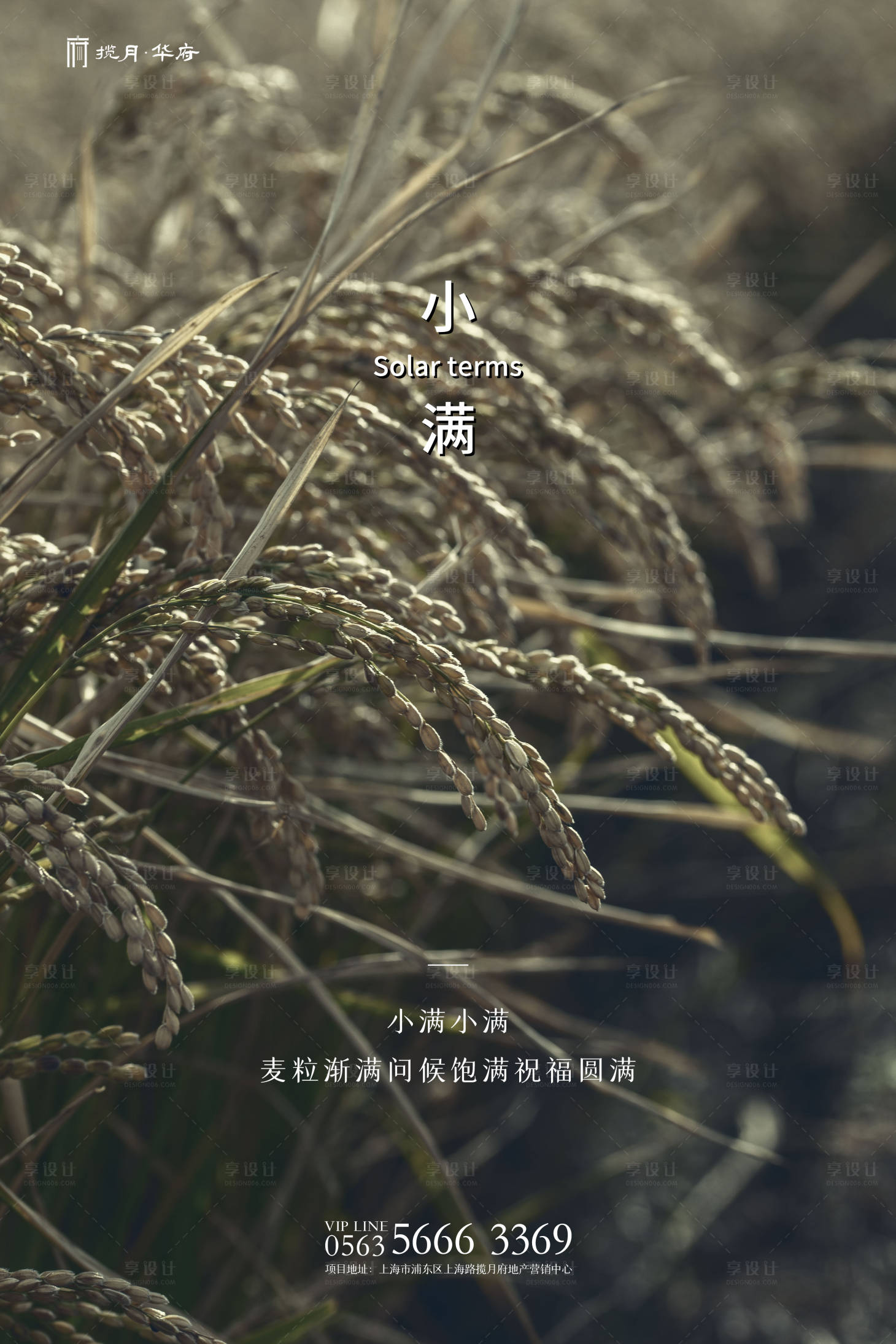 源文件下載【小滿寫實(shí)創(chuàng)意海報(bào)】編號(hào)：68500000795392805