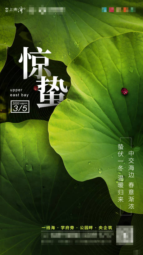源文件下载【惊蛰节气移动端海报】编号：69050000792313516