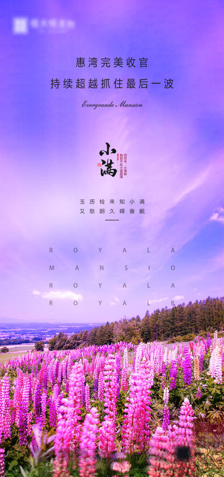 源文件下载【房地产小满节气移动端海报】编号：66160000766476391