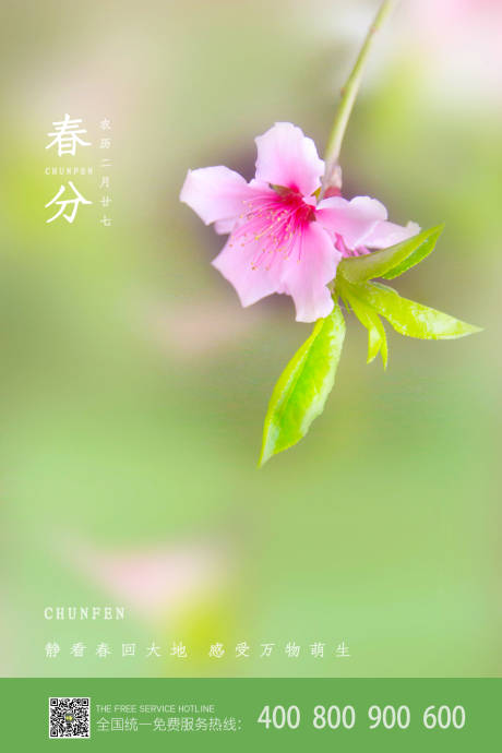 源文件下載【享設計】搜索編號：61800000701419816【二十四節氣春分海報】