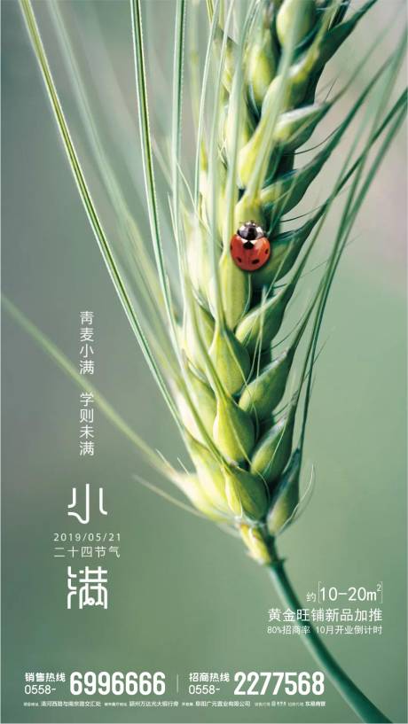 源文件下載【地產小滿節氣移動端海報】編號：45340000805198229