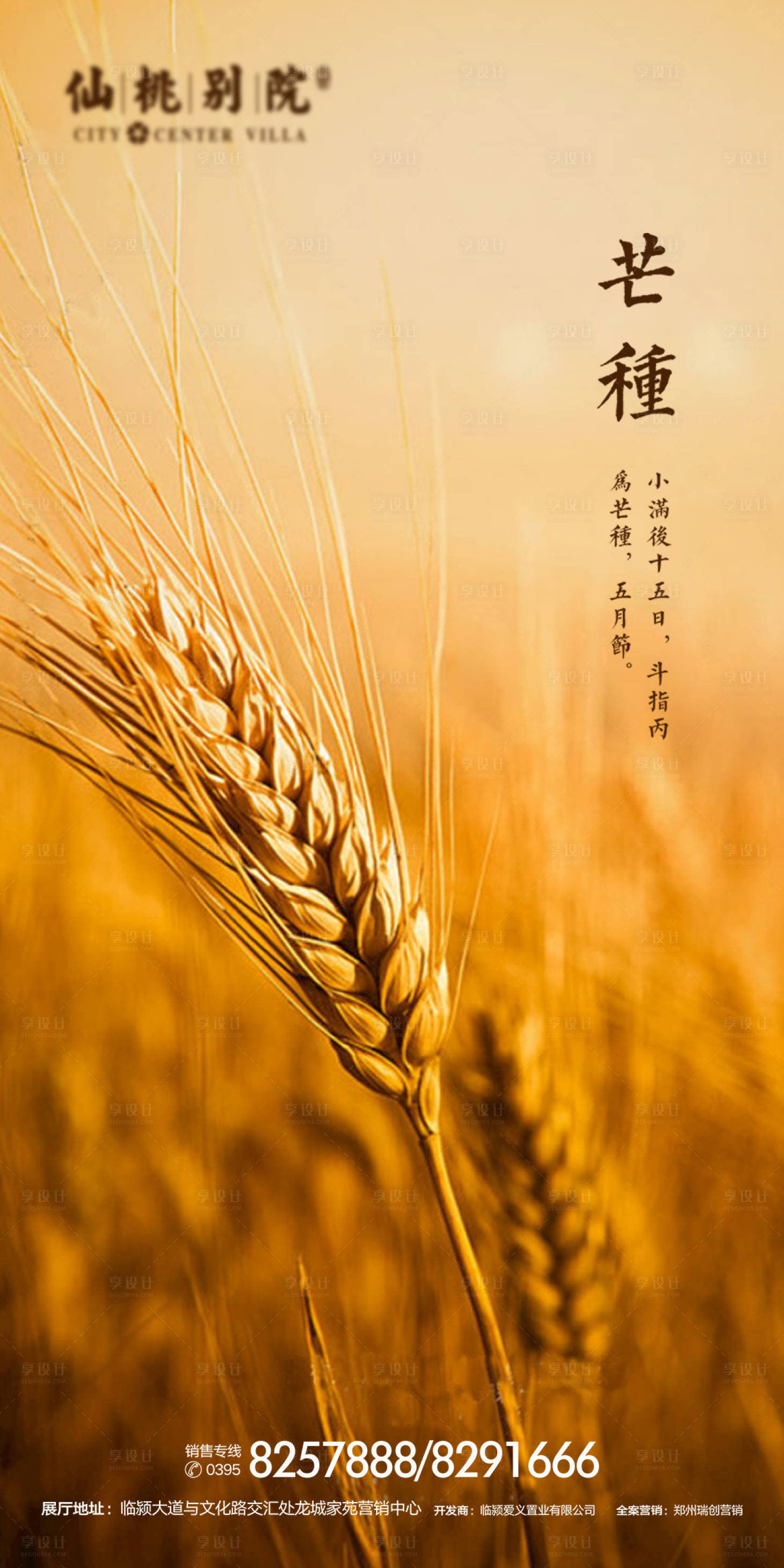 源文件下载【享设计】搜索编号：52910000654367062【房地产芒种节气海报】