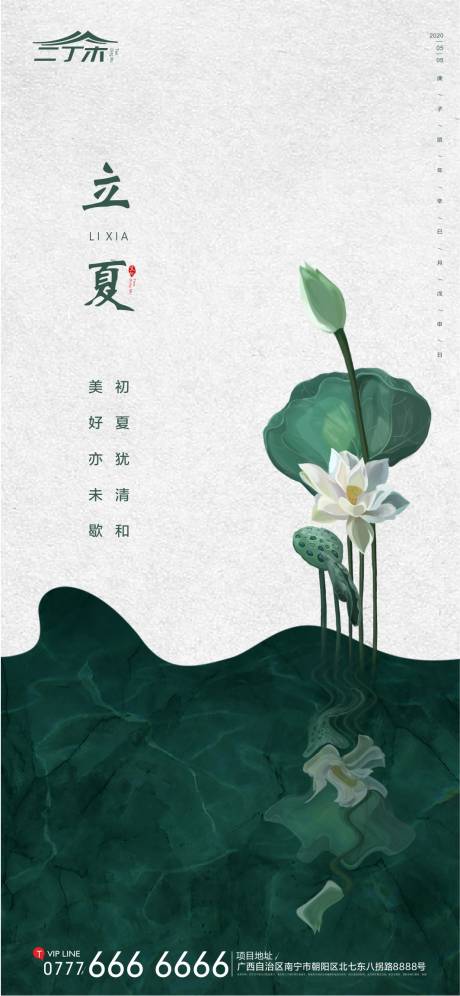 源文件下载【立夏节气荷叶移动端海报】编号：12800000818249806