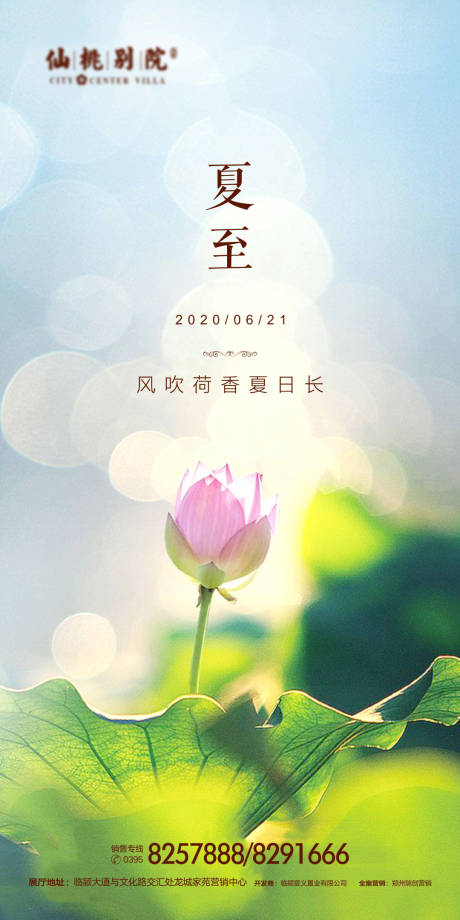 源文件下載【地產夏至節氣移動端海報】編號：72620000659586699