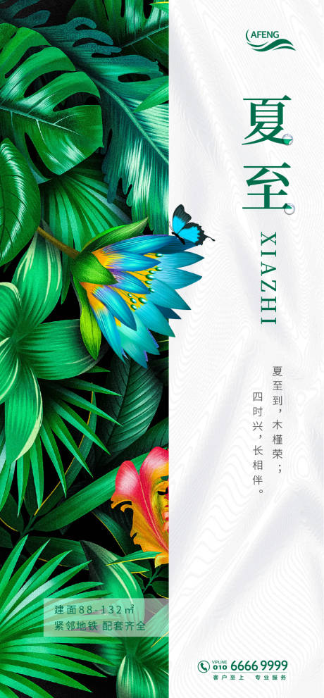源文件下載【綠色夏至節氣海報】編號：92180000711552754