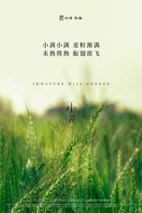 源文件下載【享設計】搜索編號：87830000794953228【小滿綠色寫實海報】