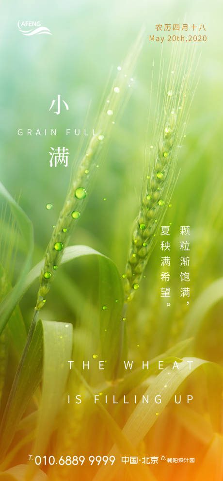 源文件下载【绿色希望小满节气海报】编号：73170000702636186