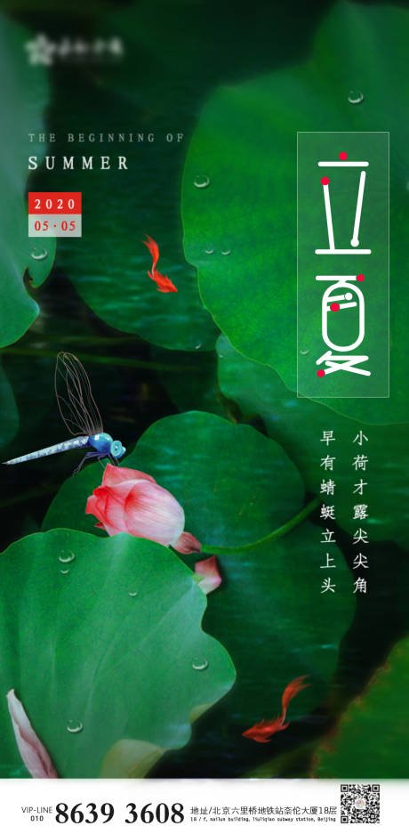 源文件下載【立夏清新海報】編號：29450000794219892