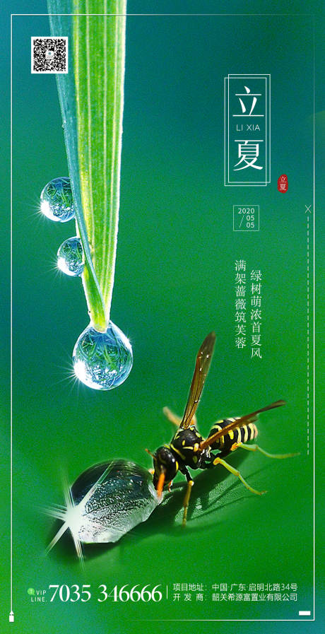 源文件下载【地产立夏节气海报】编号：50020000796363844