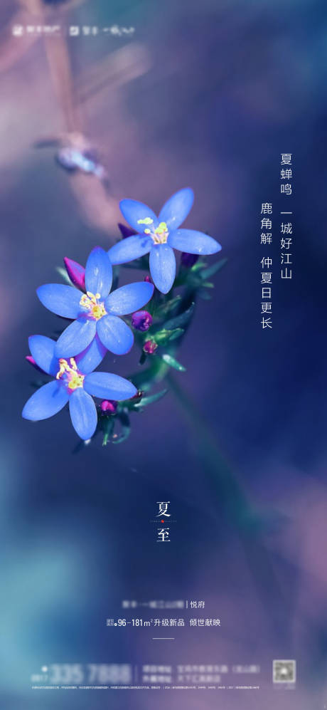源文件下載【享設計】搜索編號：78190000663898586【夏至移動端海報】