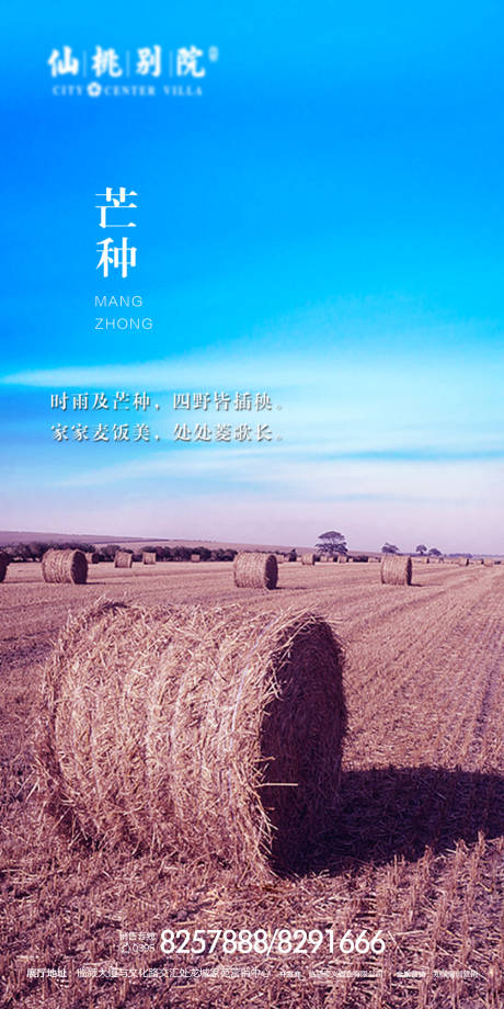 源文件下载【享设计】搜索编号：67270000654358278【芒种节气海报】