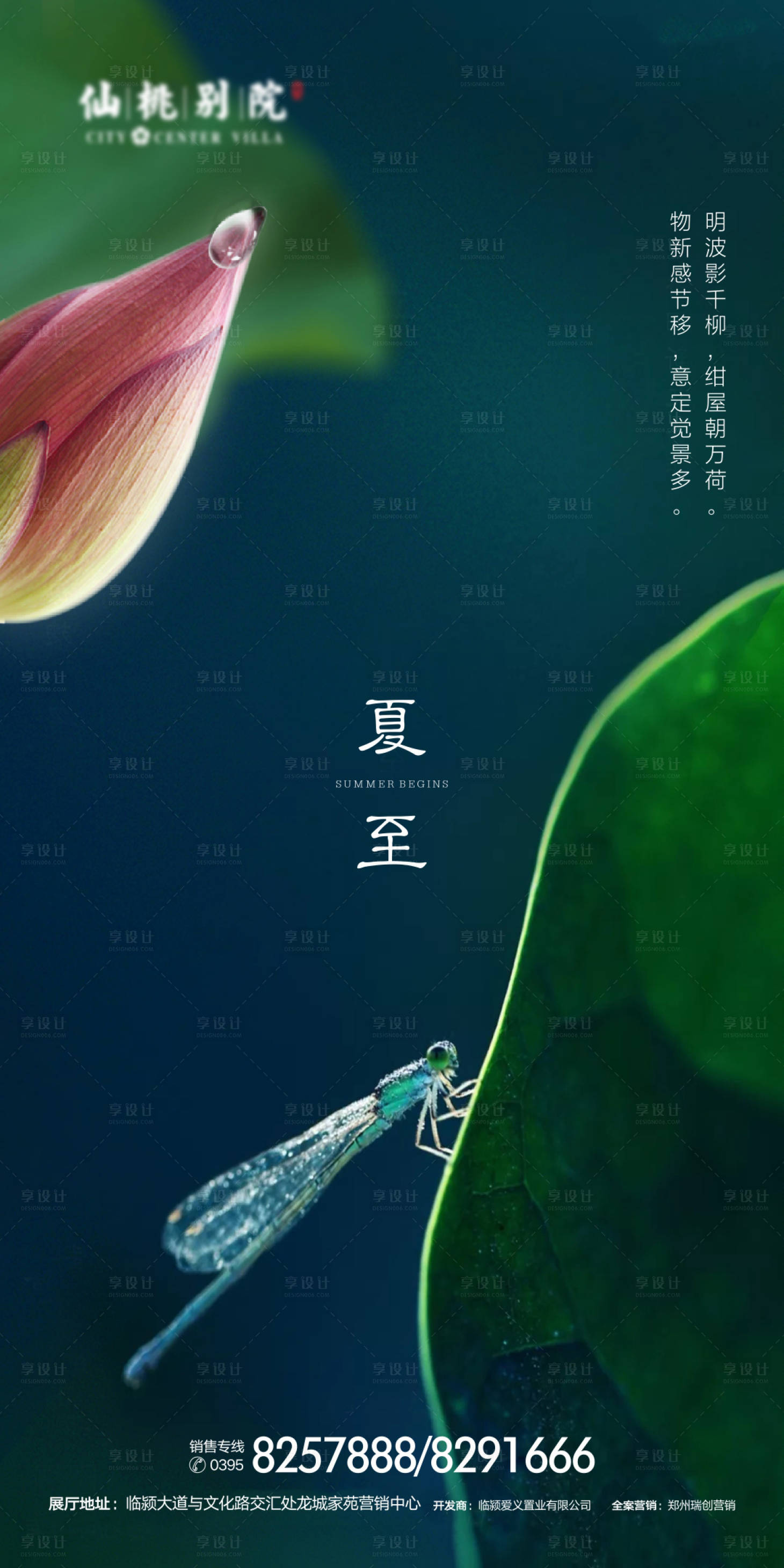 源文件下载【夏至节气移动端海报】编号：40620000659604227