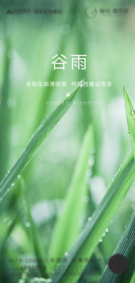源文件下載【谷雨海報】編號：98870000684378715
