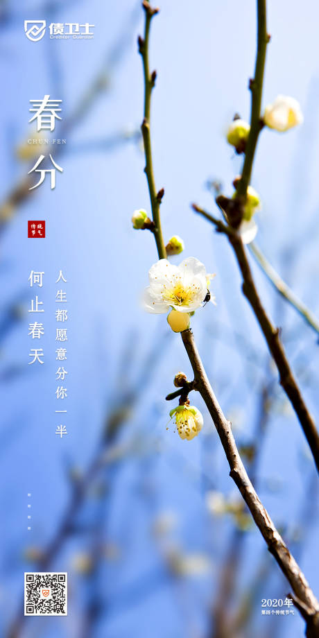 源文件下載【享設(shè)計】搜索編號：49050000652914938【春分海報】
