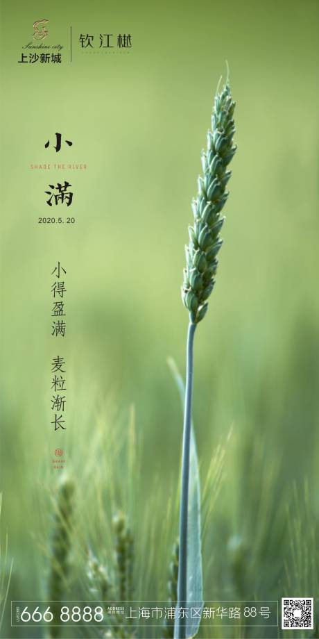 源文件下載【小滿節(jié)氣移動端海報】編號：33570000908129841