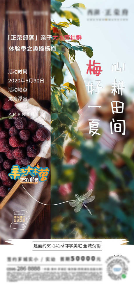 源文件下载【地产杨梅采摘活动预告海报】编号：73320001024406936