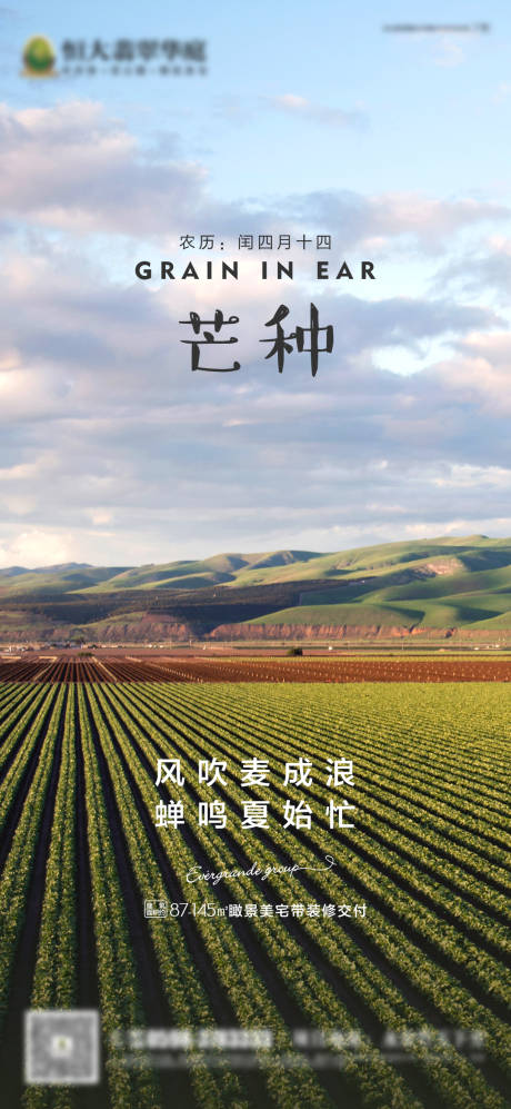 源文件下載【房地產節日節氣芒種微信海報】編號：39780000996727484