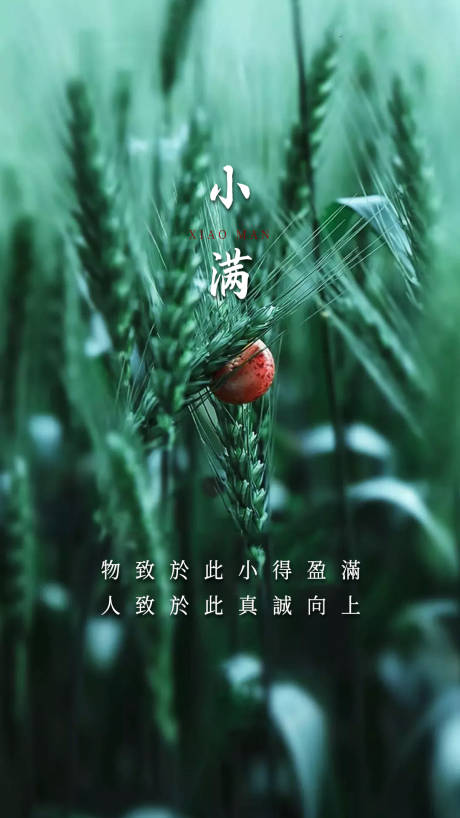 源文件下載【享設計】搜索編號：29870000917602943【小滿節氣海報】