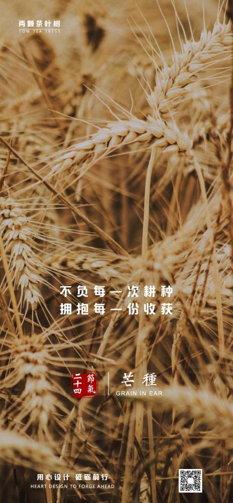 源文件下載【二十四節氣芒種海報】編號：93410000991638784