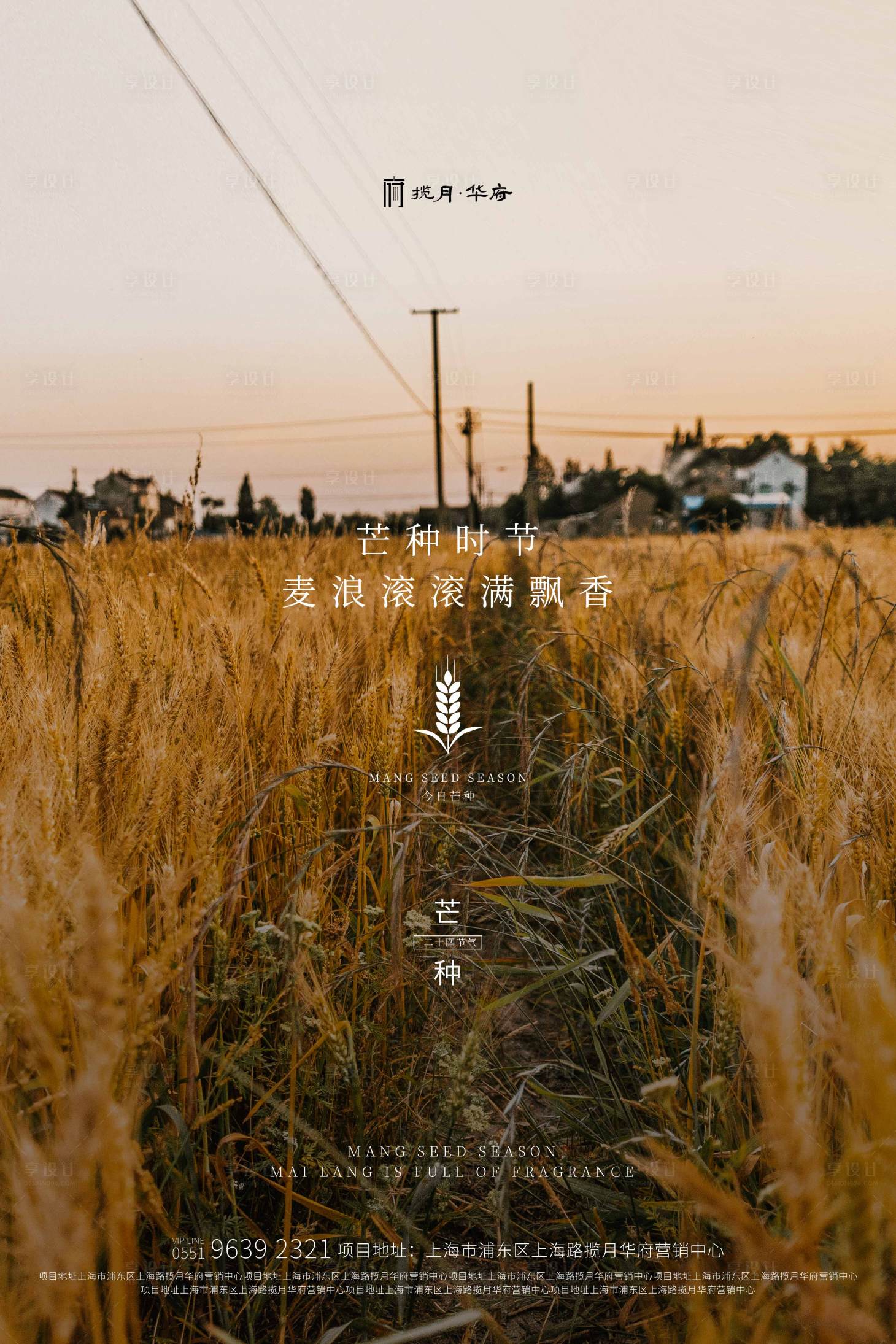 源文件下載【芒種麥田寫實海報】編號：88100000885384257
