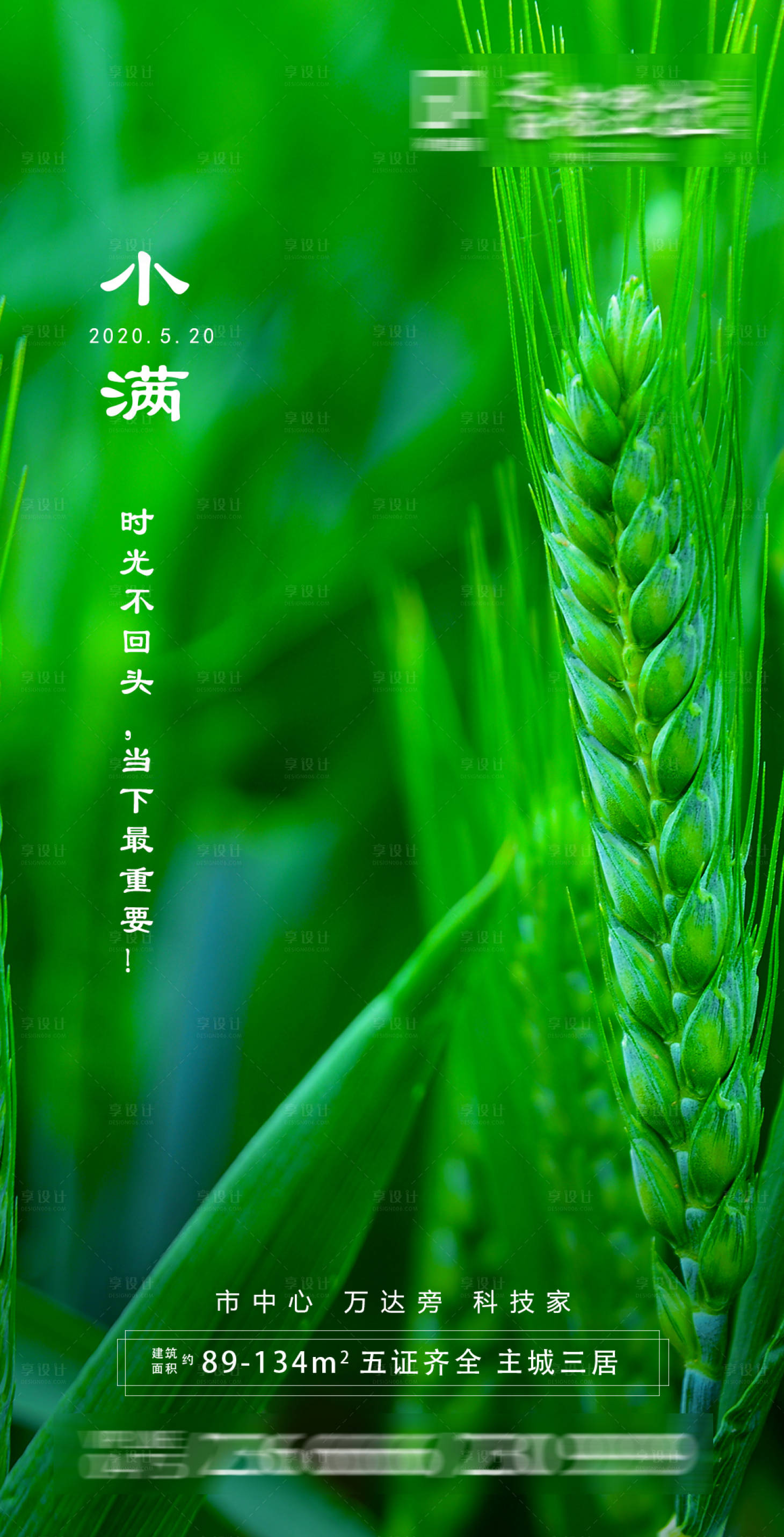 源文件下载【享设计】搜索编号：55720000927527024【地产节气海报小满】