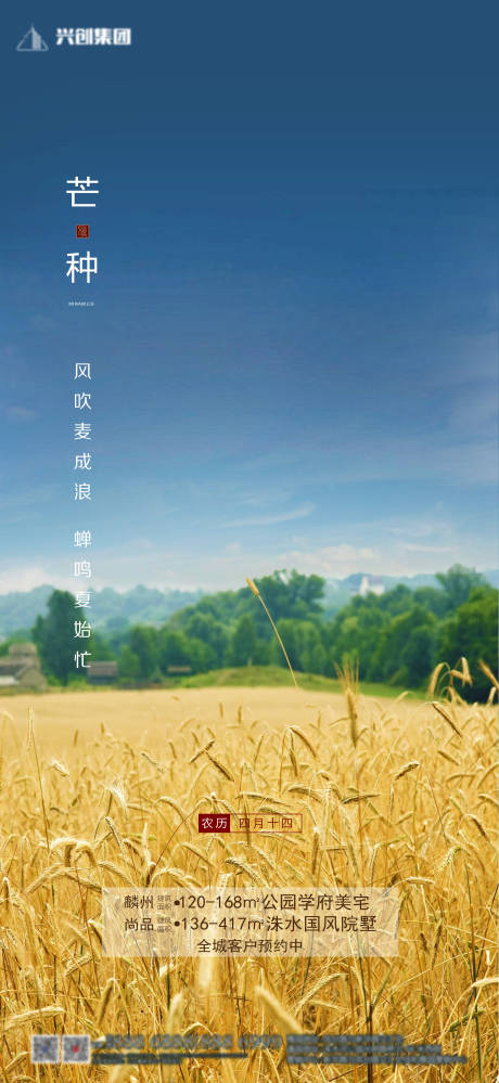源文件下载【地产芒种节气海报】编号：38290000973513029