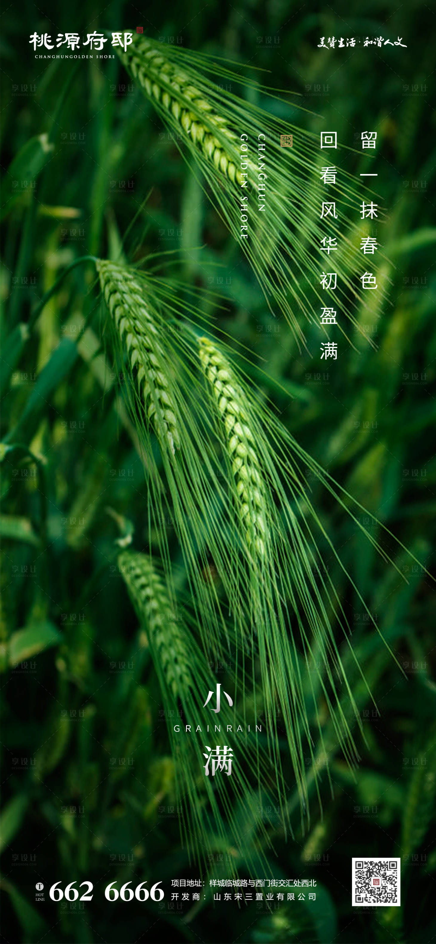 源文件下载【简洁绿色麦穗小满节气海报】编号：59730000873114508