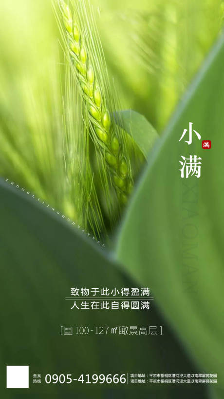 源文件下载【地产小满节气移动端海报】编号：34620000840197543