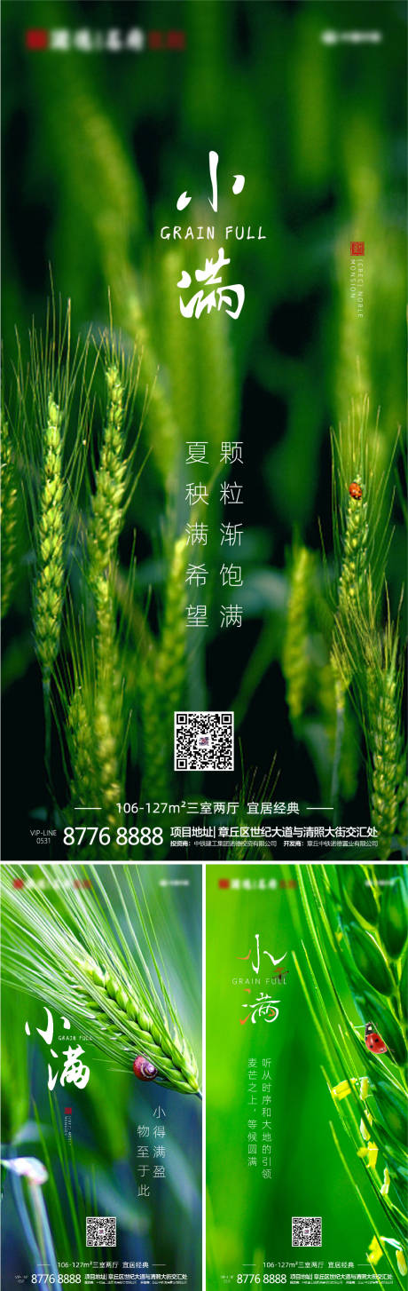 源文件下载【小满节气系列海报】编号：86780000873025301