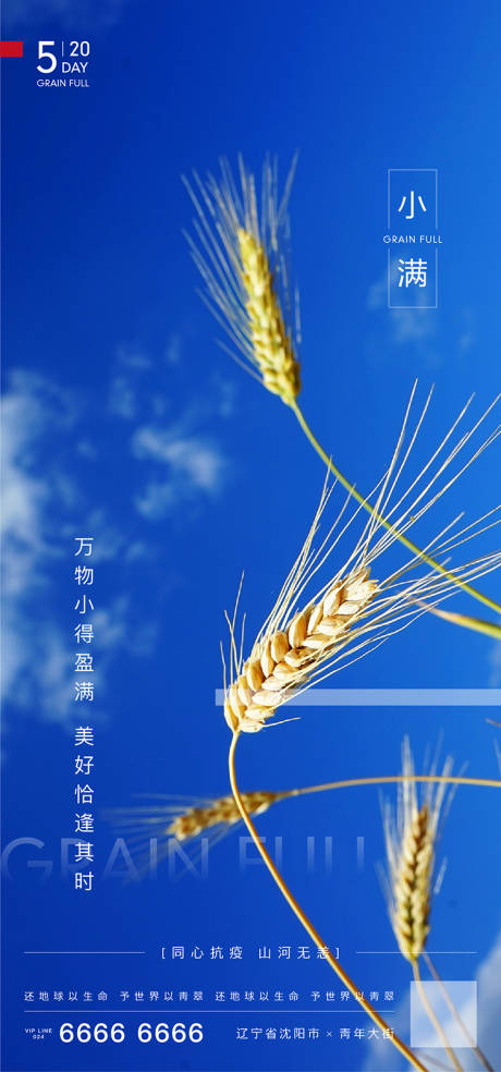 源文件下载【小满节气移动端海报】编号：35150000908979939