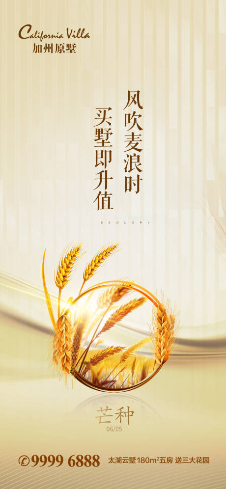 源文件下載【房地產芒種節氣海報】編號：15250000986166920