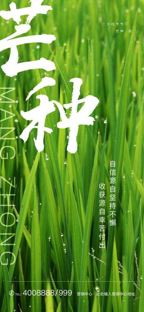 源文件下载【芒种移动端海报】编号：35070000949625145