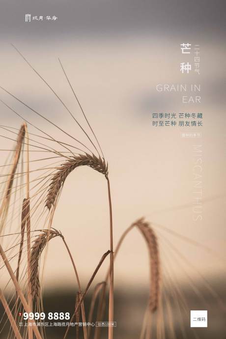 源文件下載【享設(shè)計(jì)】搜索編號：48090000904496562【芒種寫實(shí)灰色海報(bào)】
