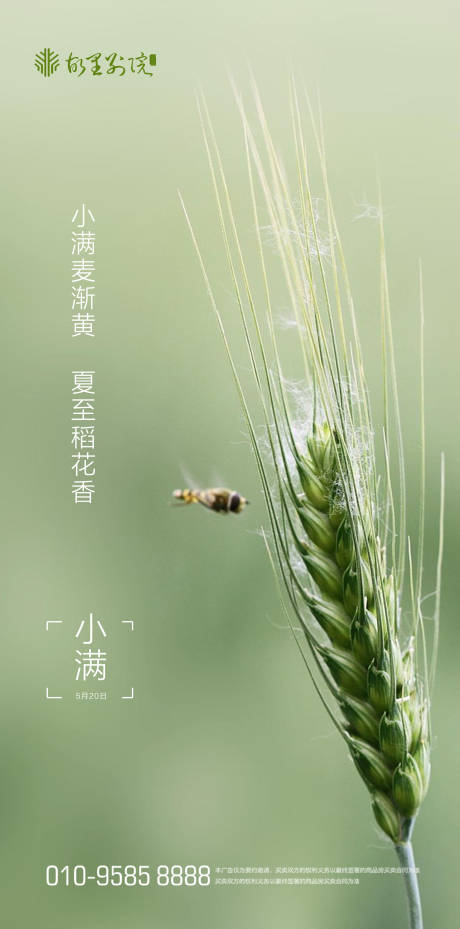 源文件下載【小滿海報】編號：50310000899835307