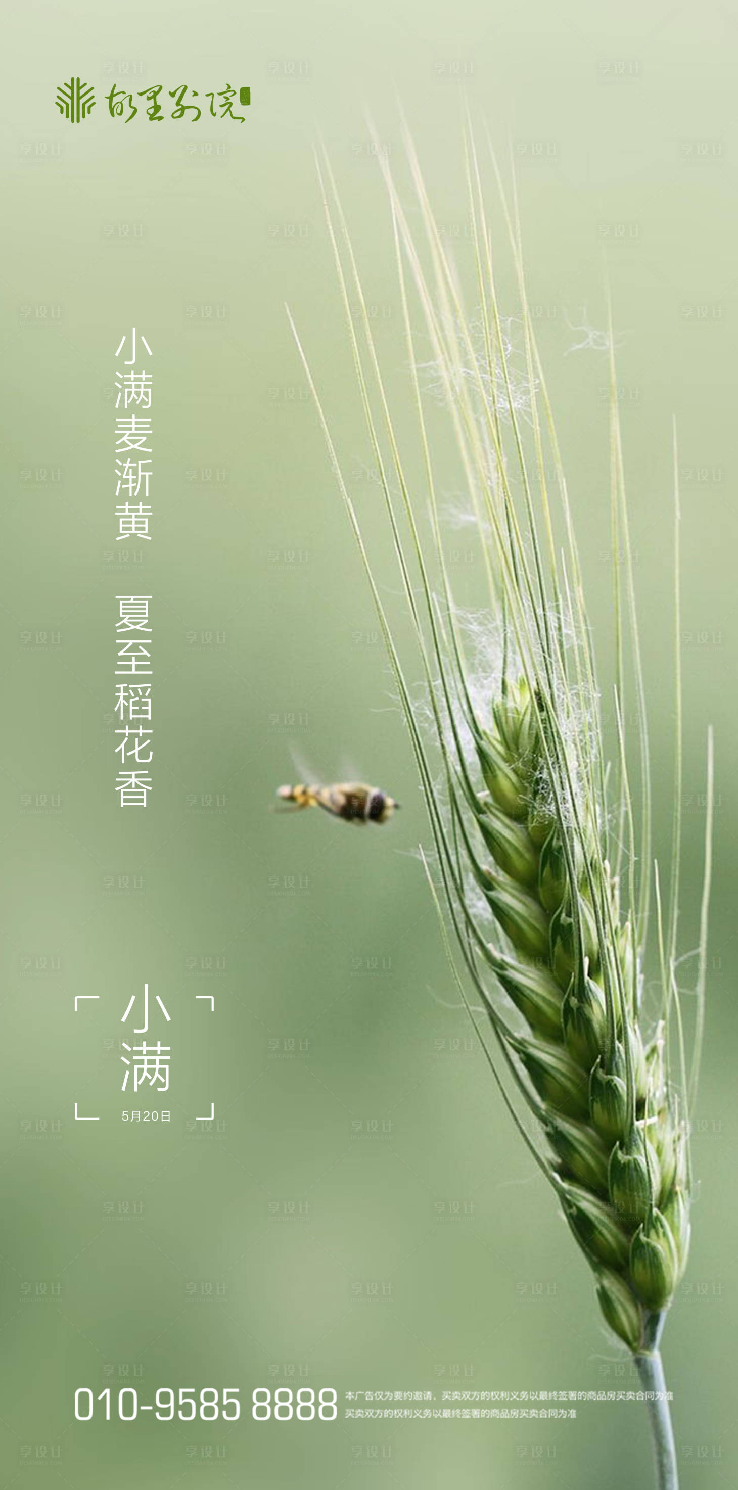 源文件下載【享設計】搜索編號：50310000899835307【小滿海報】