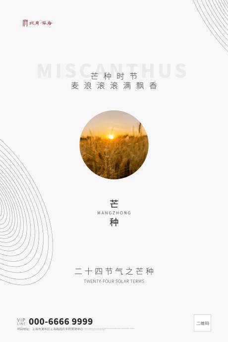 源文件下載【白色創(chuàng)意二十四節(jié)氣芒種海報(bào)】編號(hào)：67640000869936509