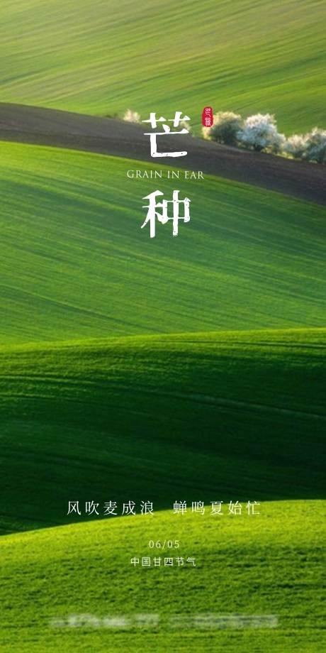 源文件下载【绿色麦田芒种节气地产海报】编号：34660000924654391