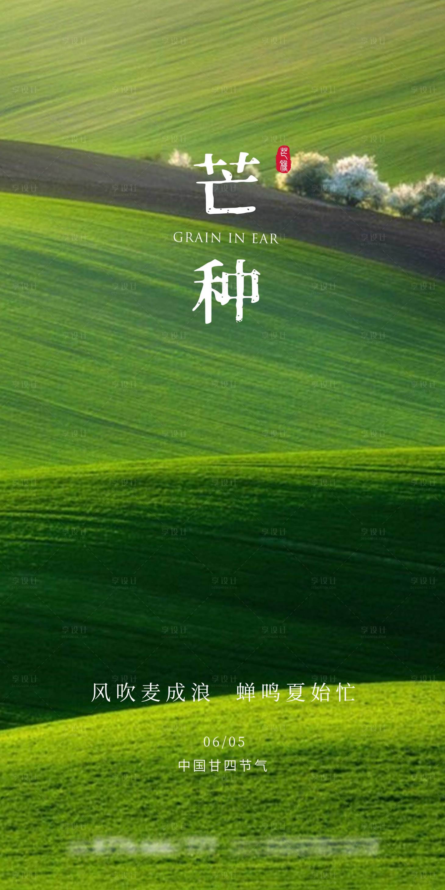 源文件下载【享设计】搜索编号：34660000924654391【绿色麦田芒种节气地产海报】